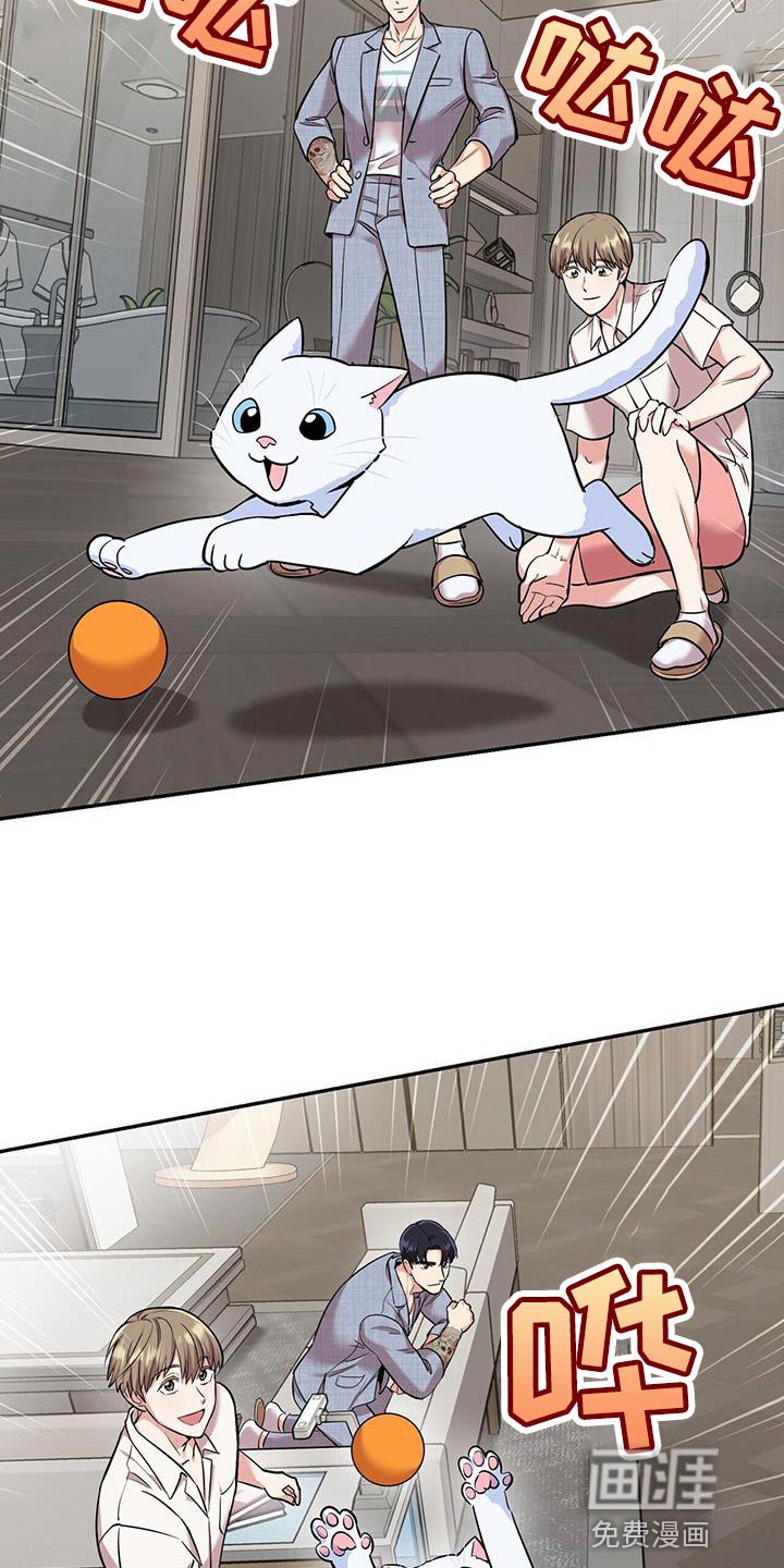 第38章：逗猫
