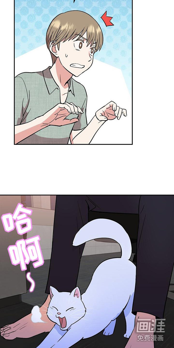 第8章：概括要点