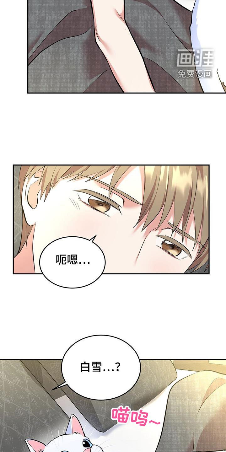 第86章：【第二季】调查报告