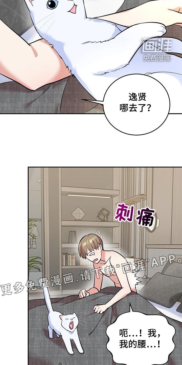 第86章：【第二季】调查报告