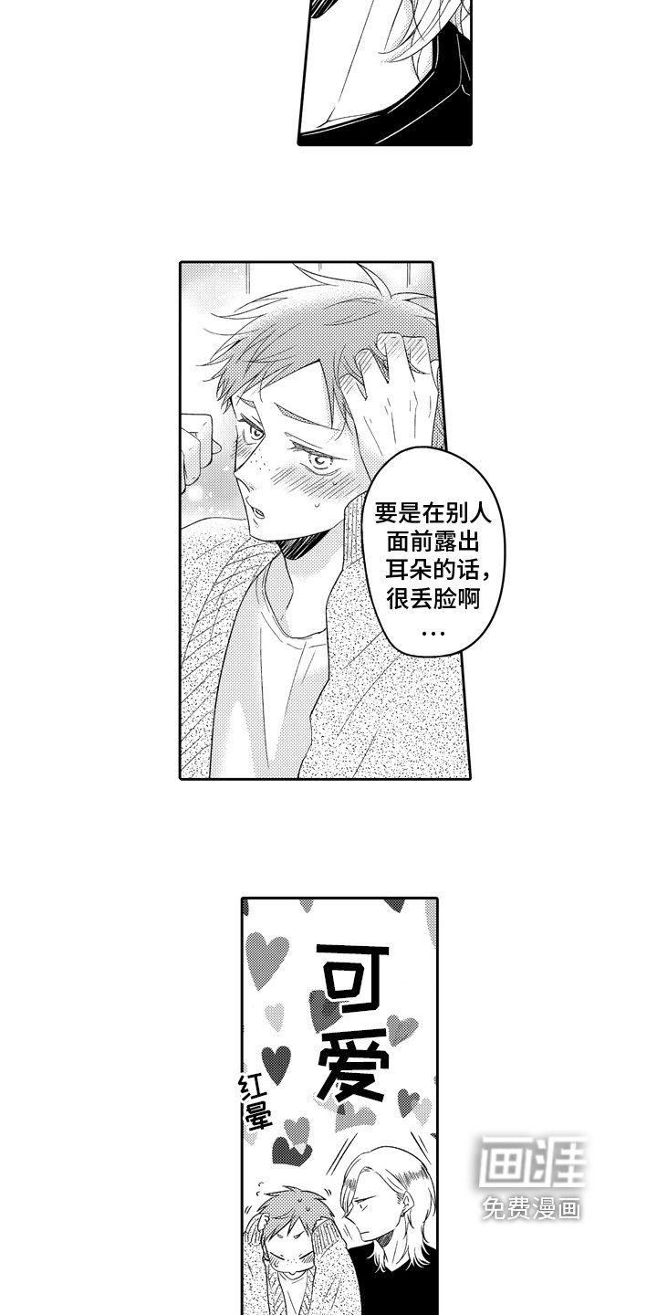 第14章：真面目