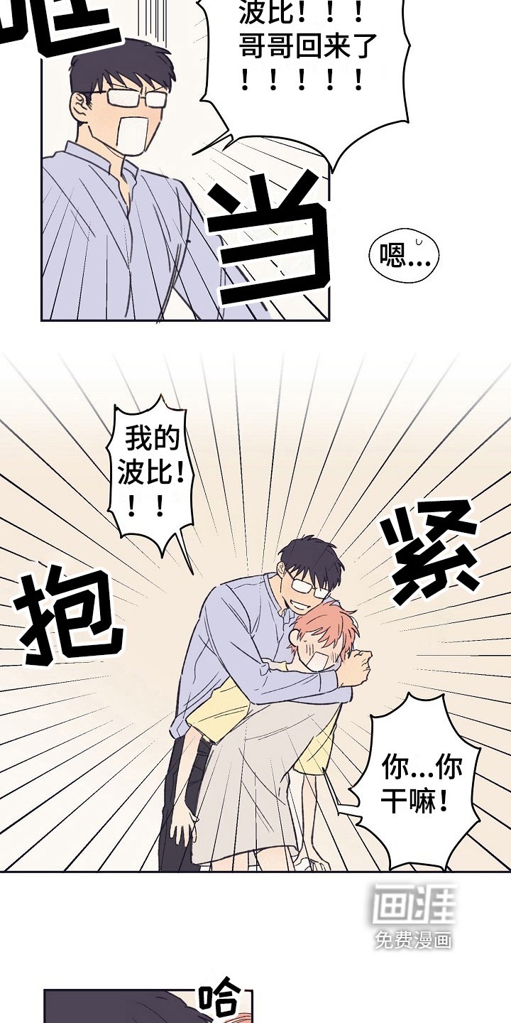 第12章：问题