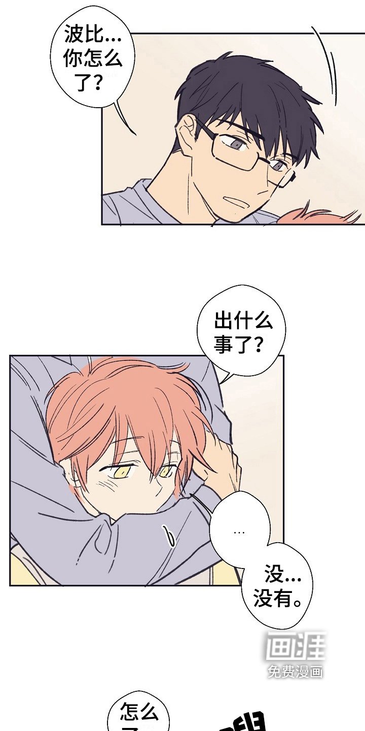 第12章：问题