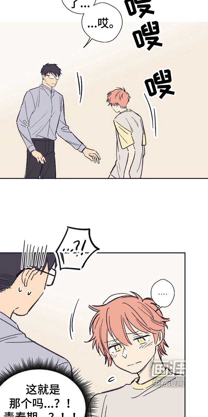 第12章：问题