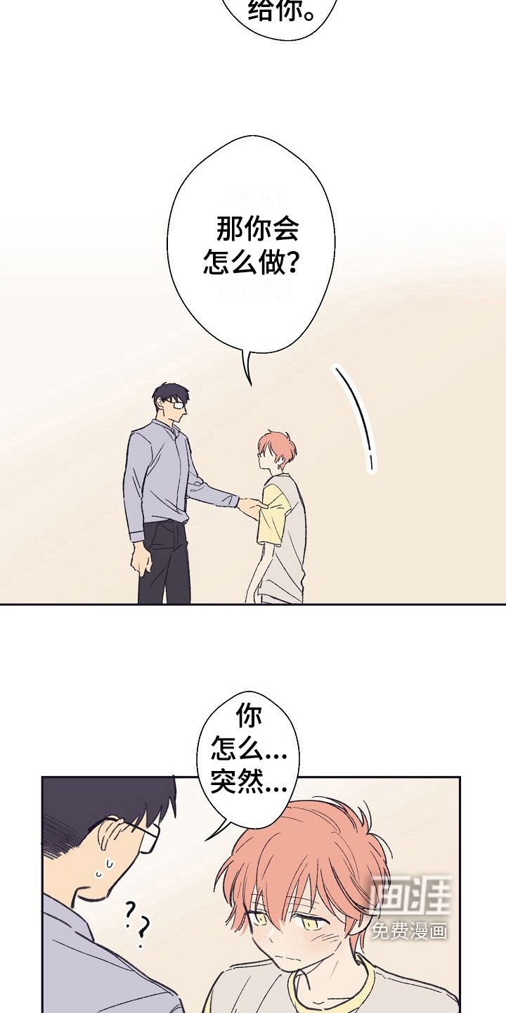 第12章：问题