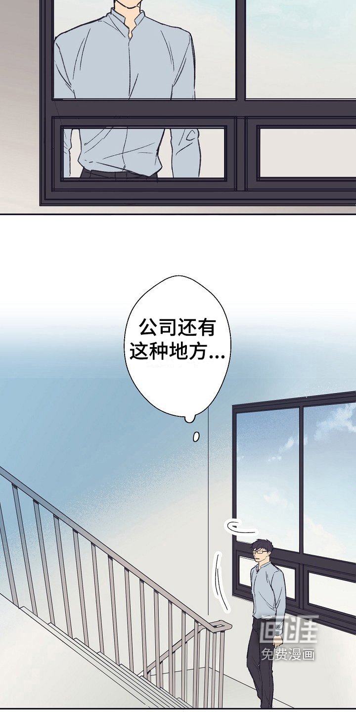 第13章：回答
