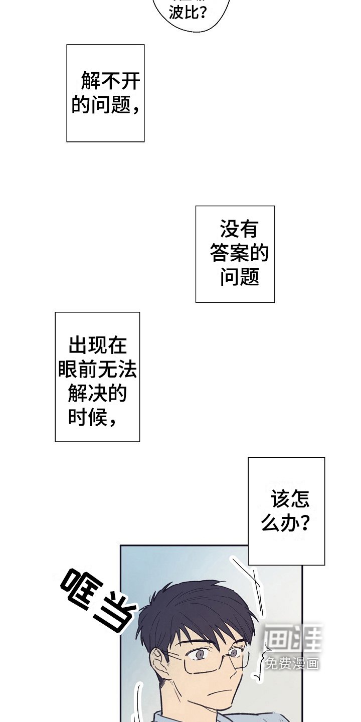 第13章：回答