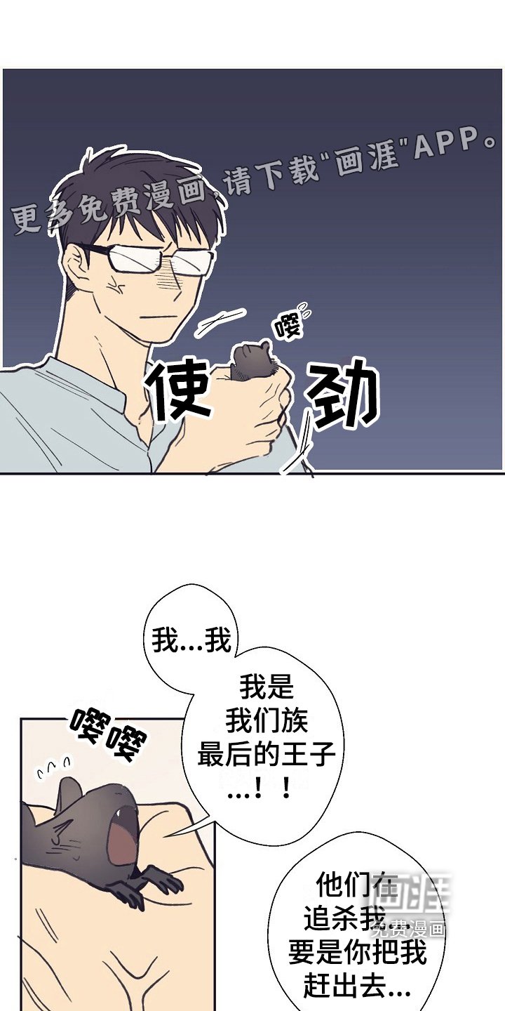 第4章：收留