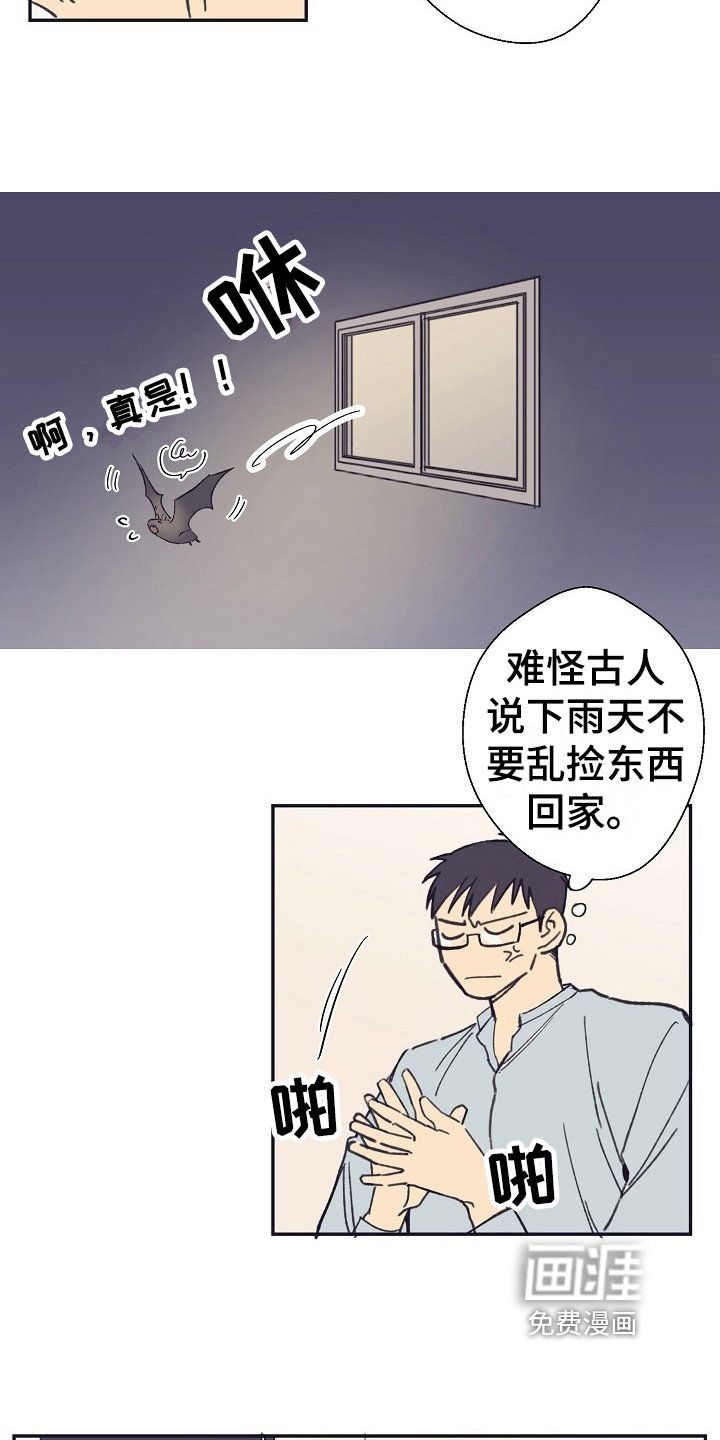 第4章：收留