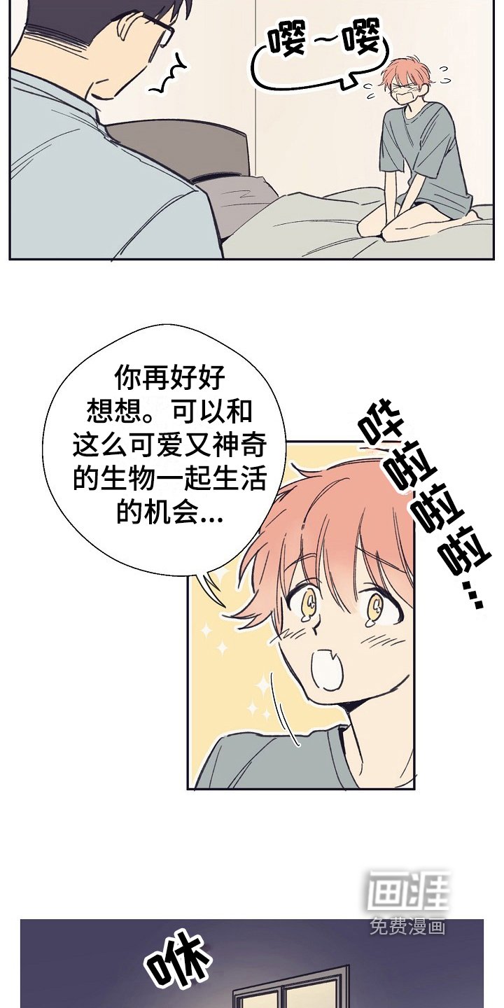 第4章：收留