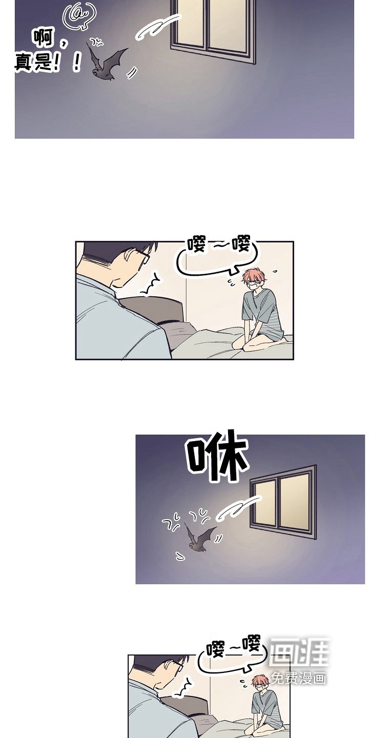 第4章：收留