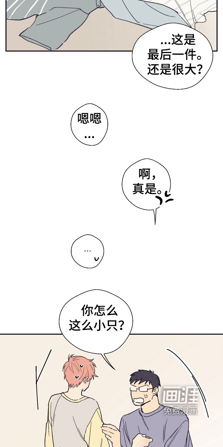 第4章：收留