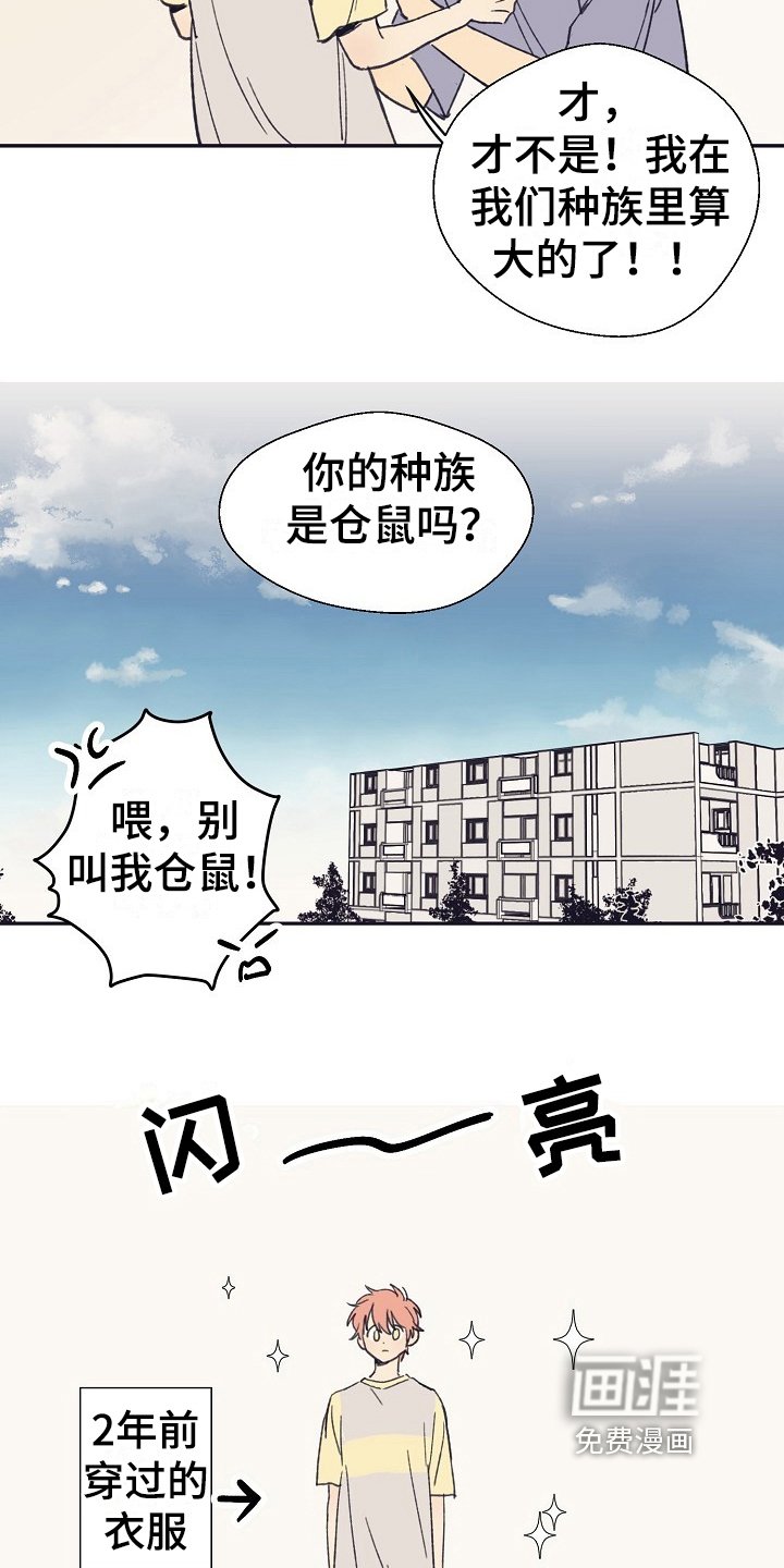 第4章：收留