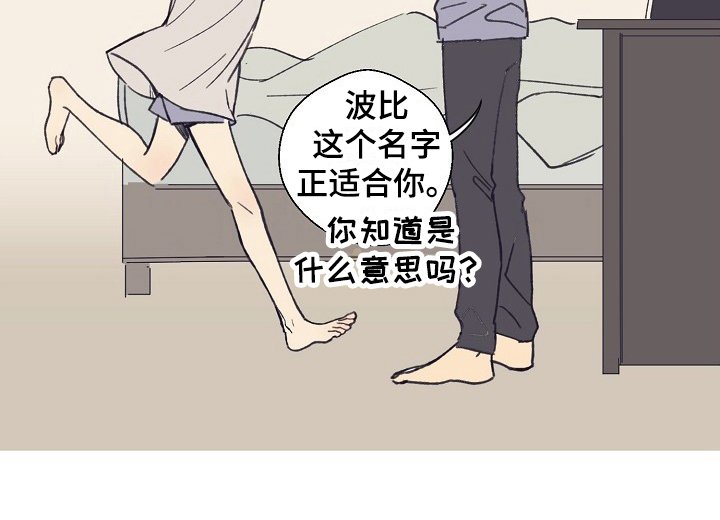 第4章：收留