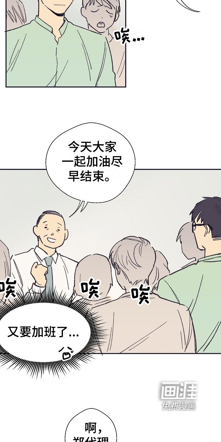 第5章：泡面