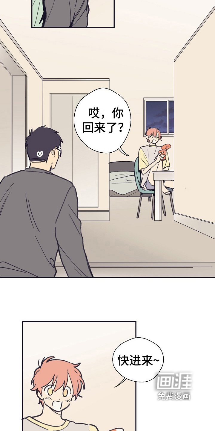 第5章：泡面