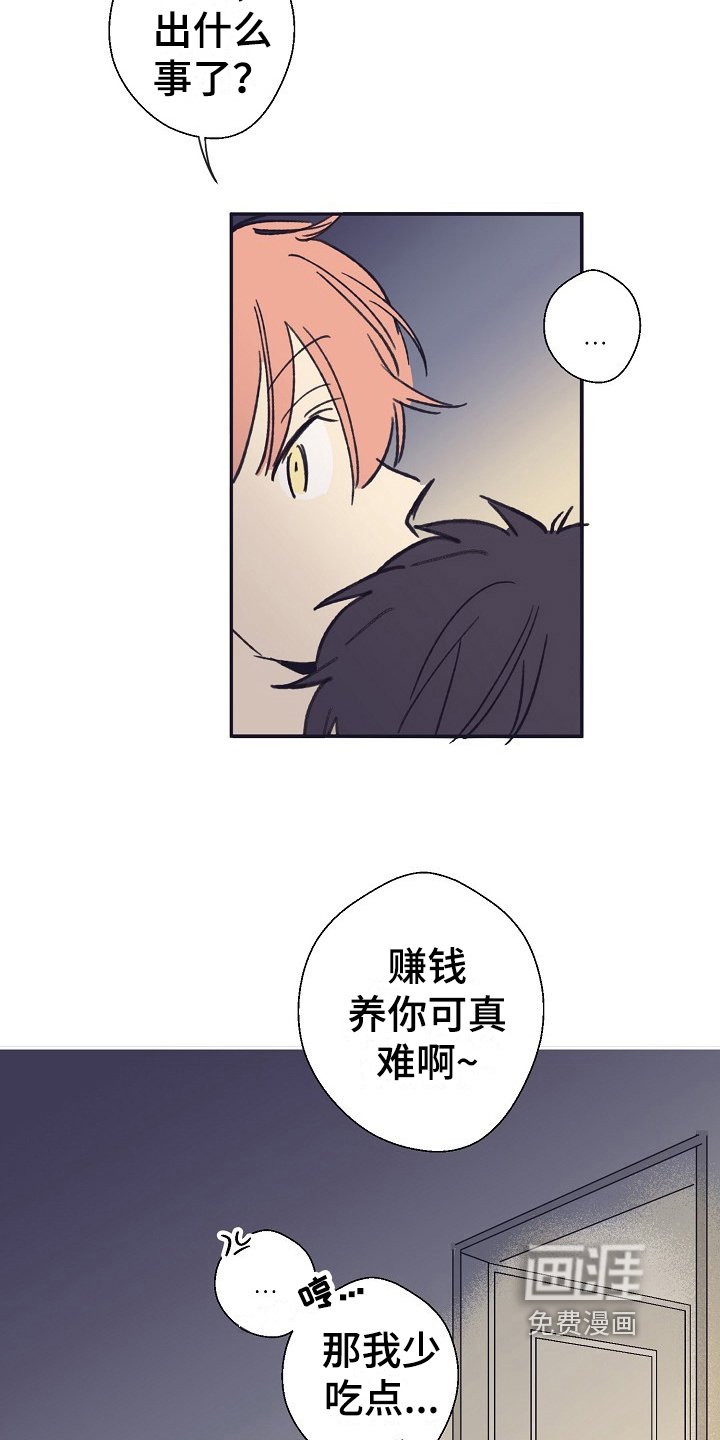 第8章：安慰