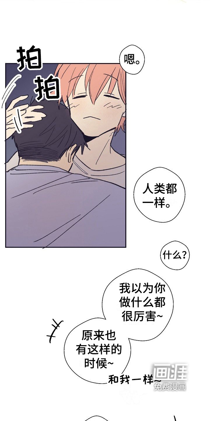 第8章：安慰