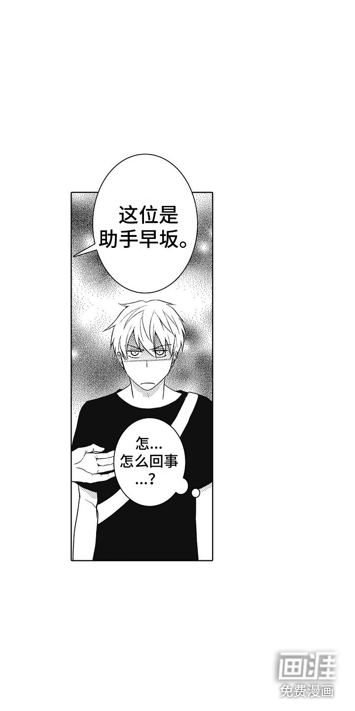 第12章：助手