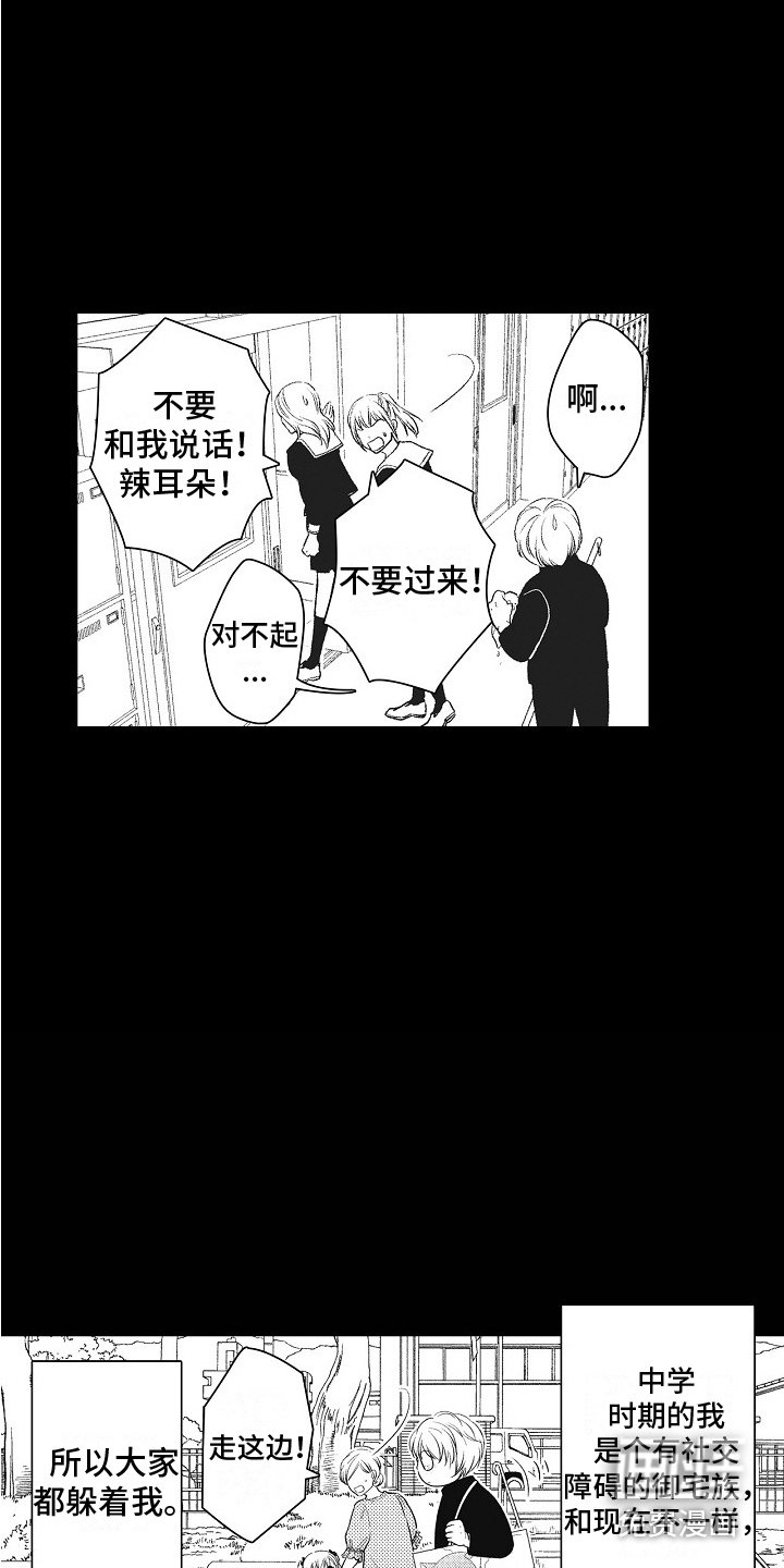 第14章：画不出来