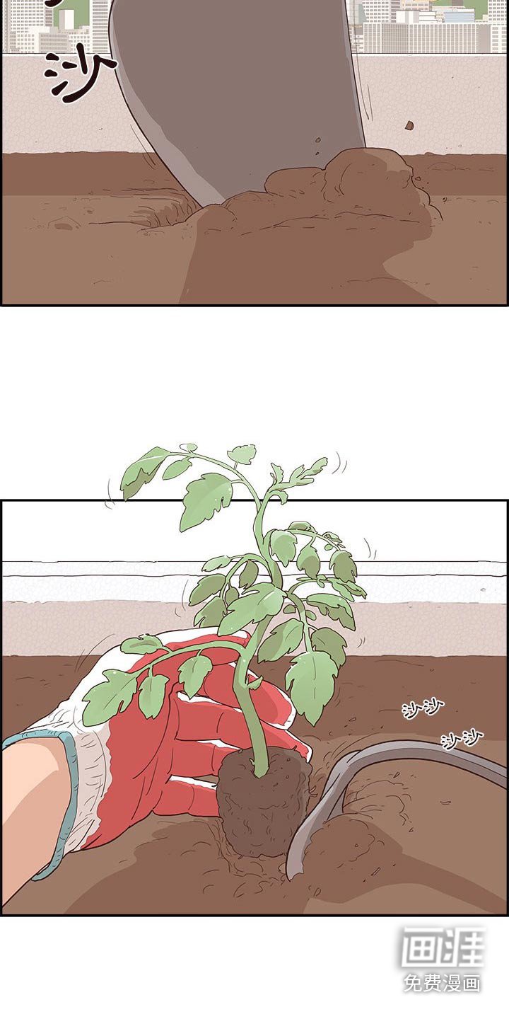 第21章：种植