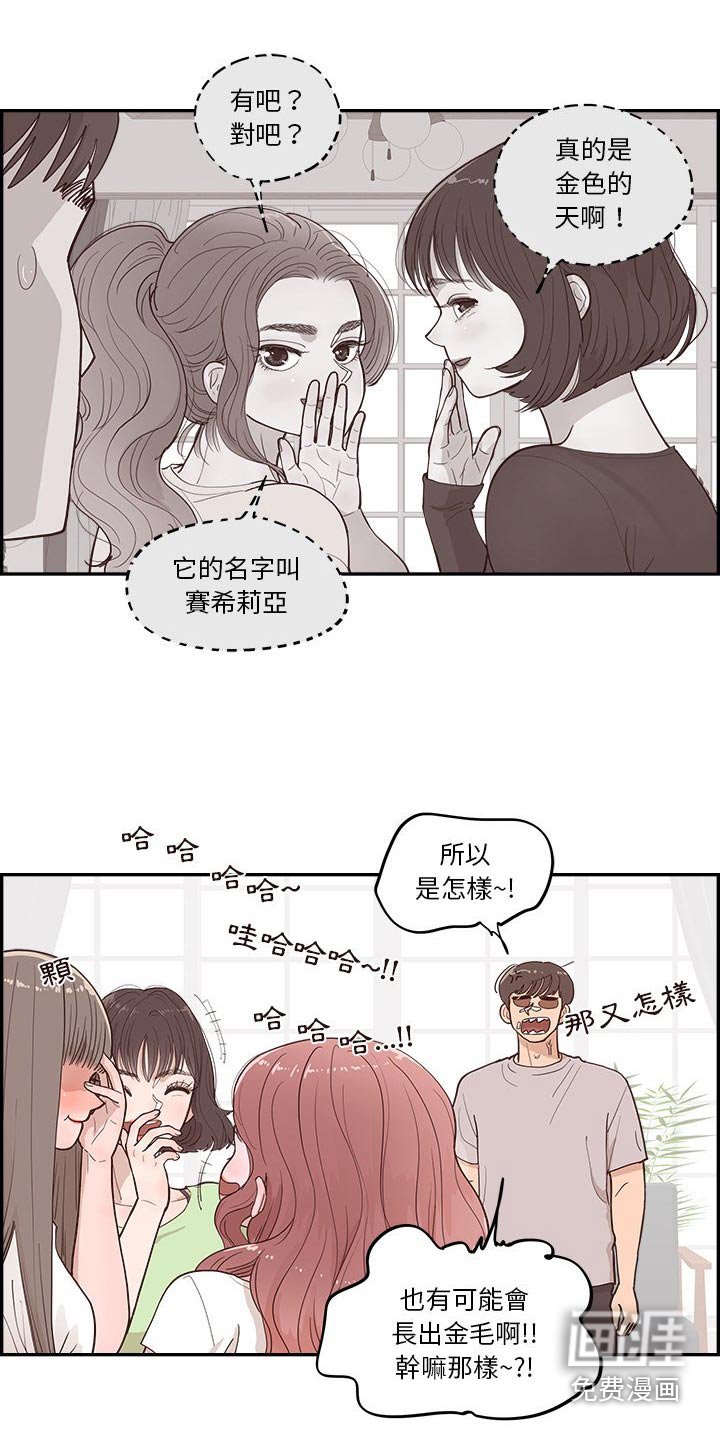 第45章：金色的 