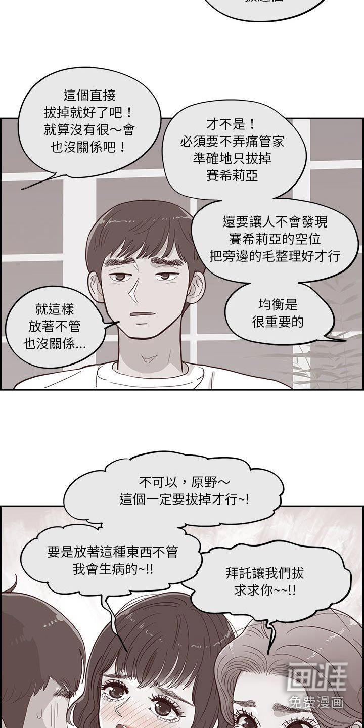 第45章：金色的 