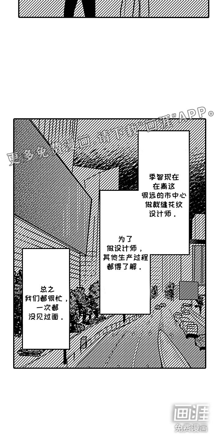 第20章：各自的道路