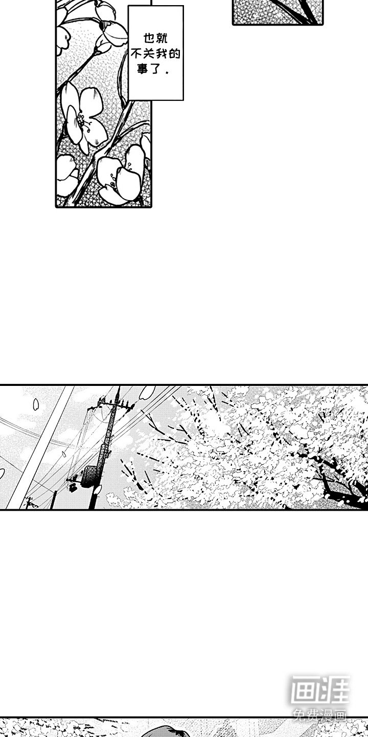 第7章：专栏采访