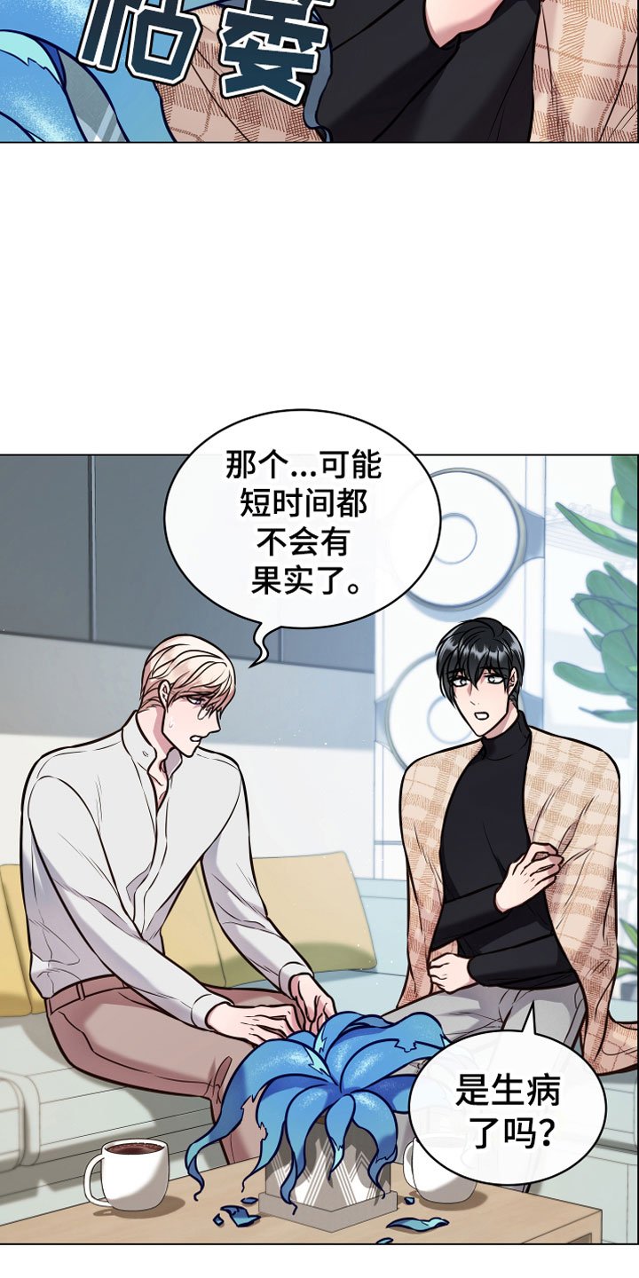 第12章：心意