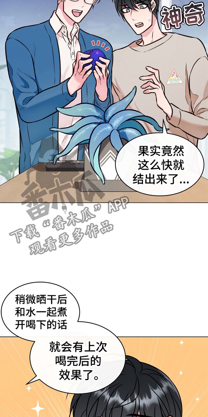 第5章：果实