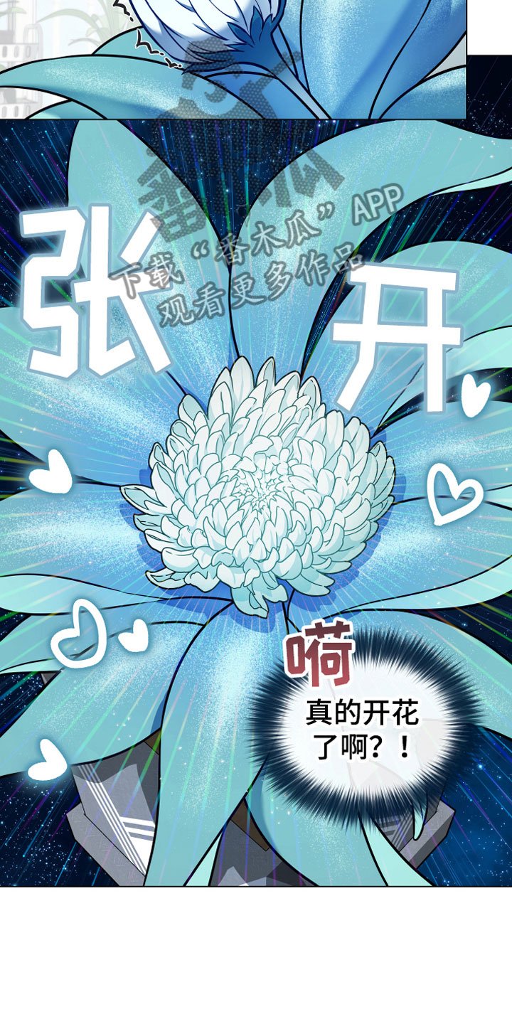 第8章：开花