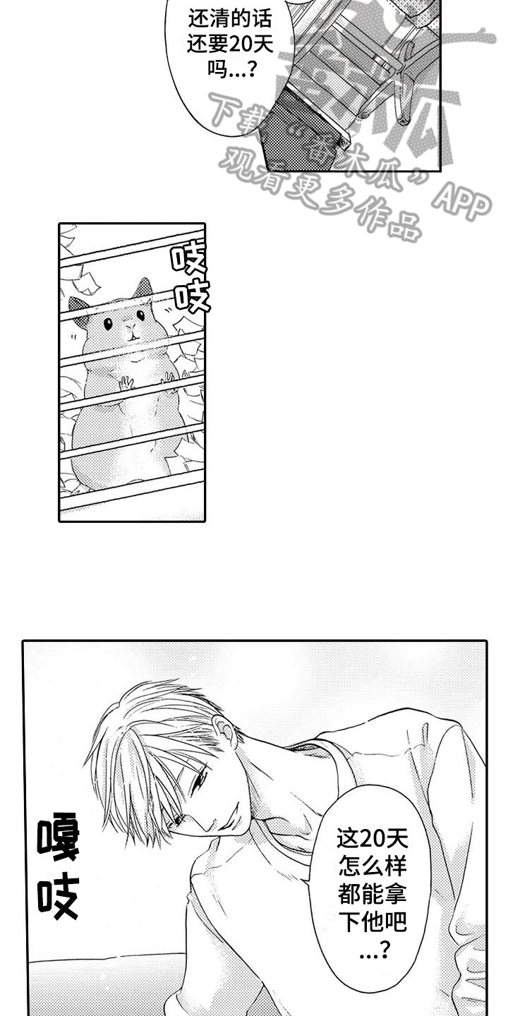 第12章：计划