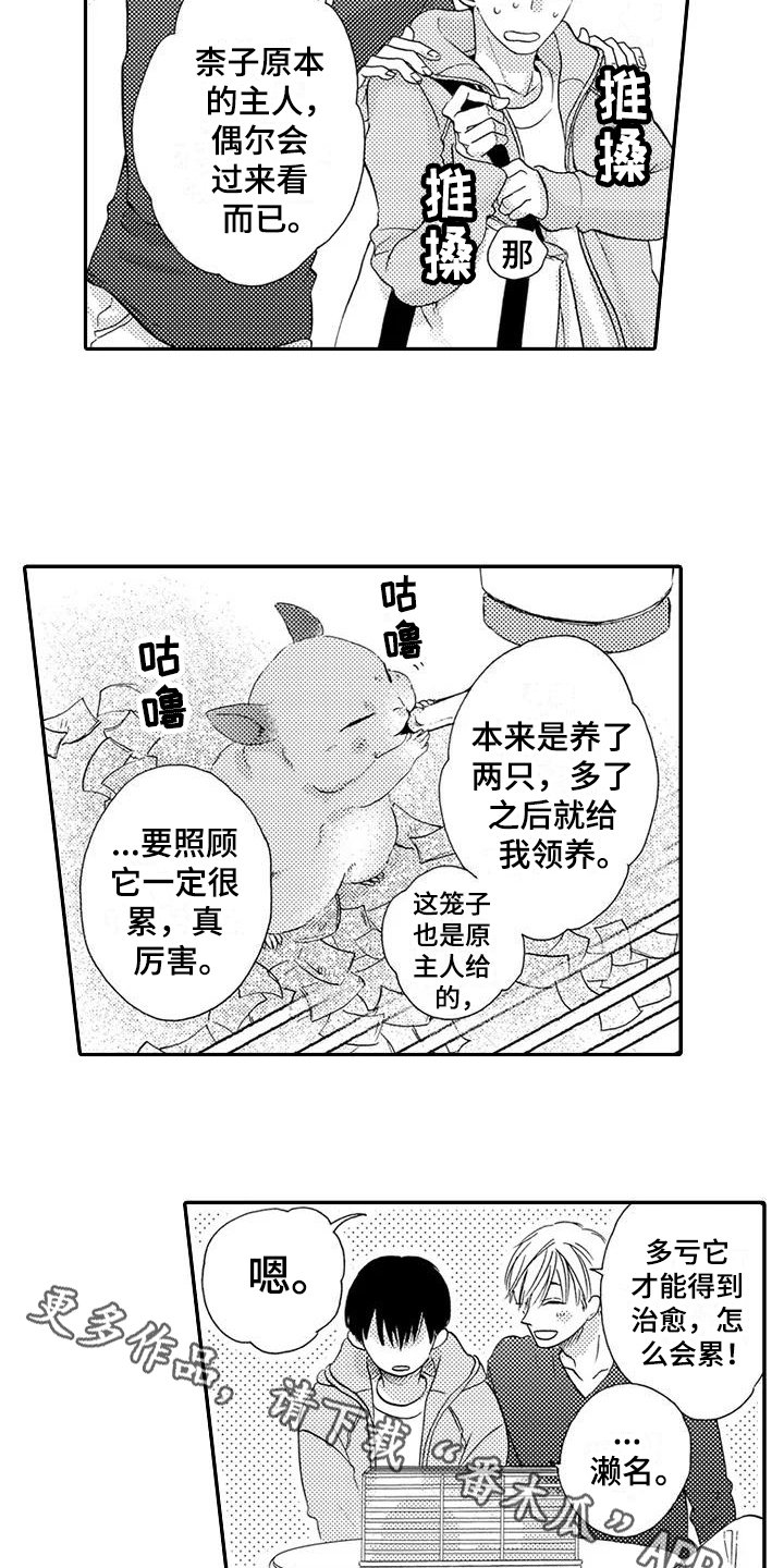 第13章：登门