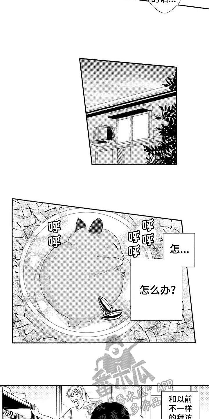 第17章：做饭