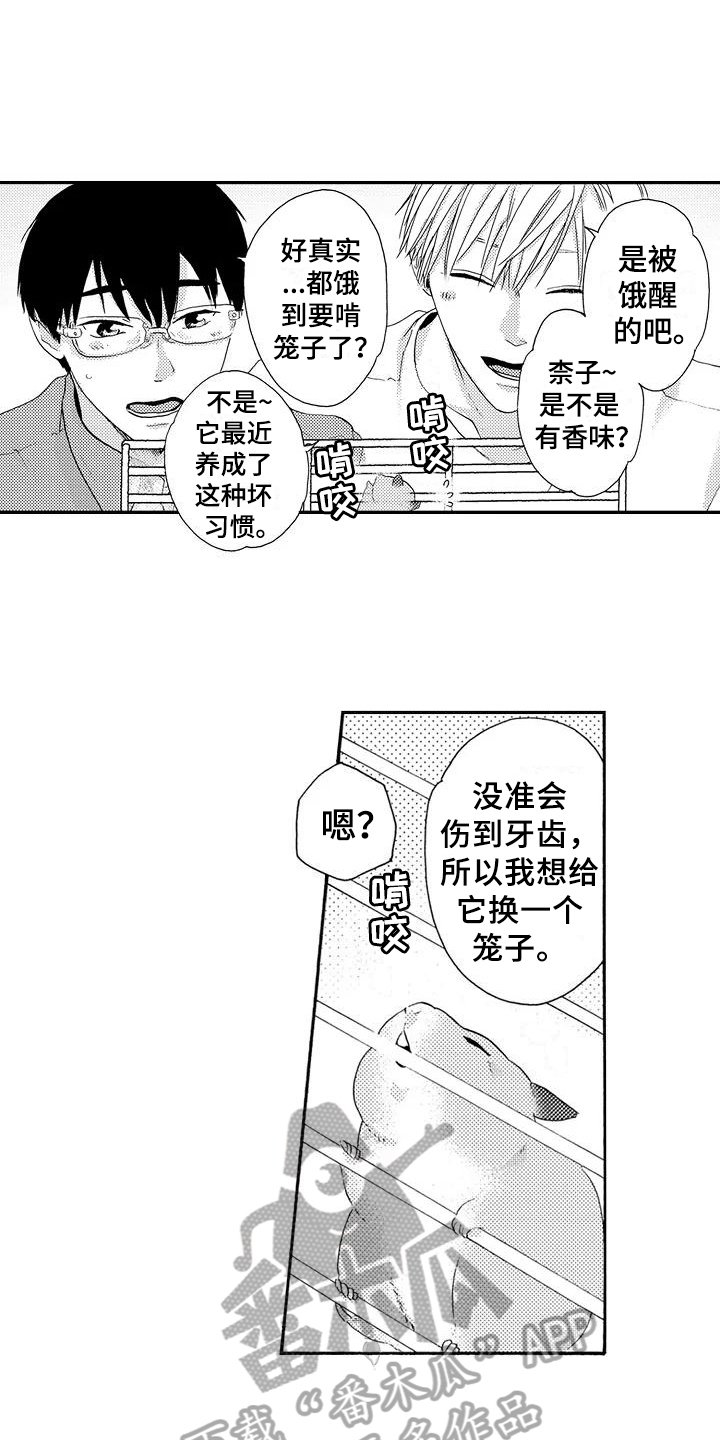 第17章：做饭