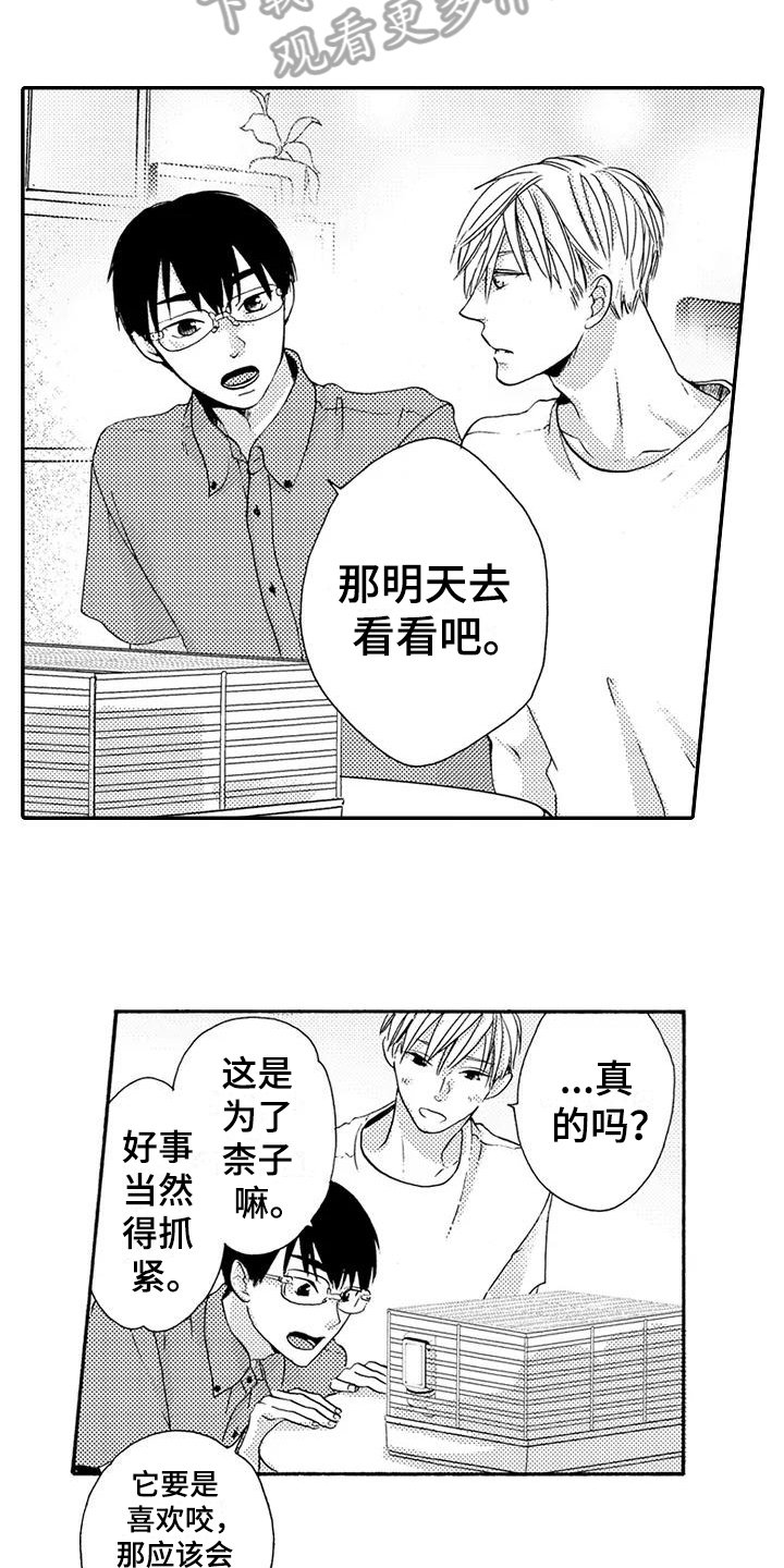 第17章：做饭