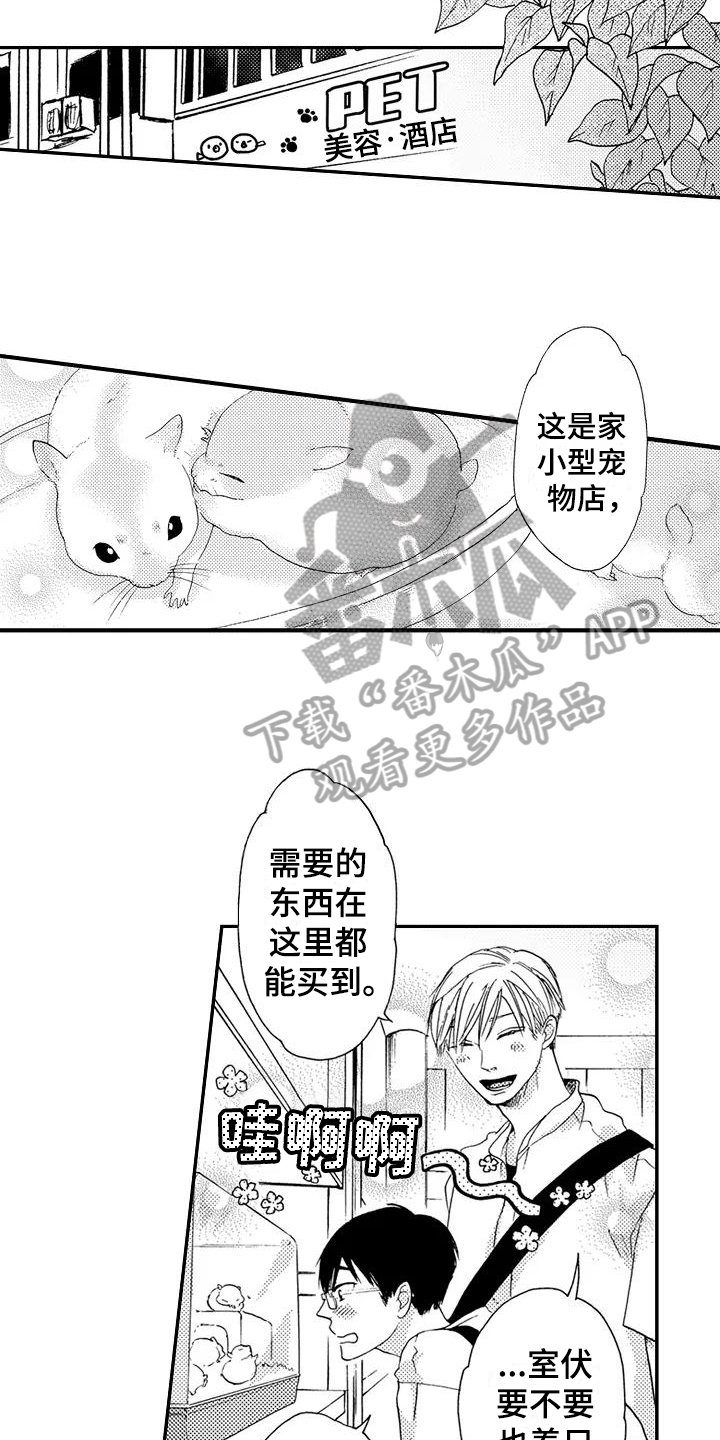 第19章：逃避
