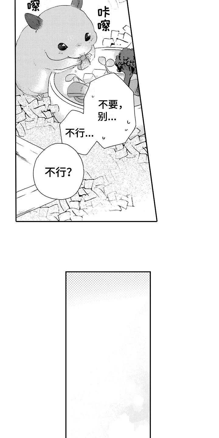 第21章：期待【完结】