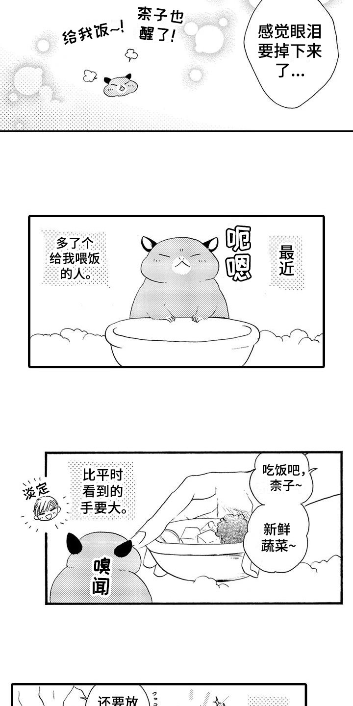 第22章：【番外】美梦成真