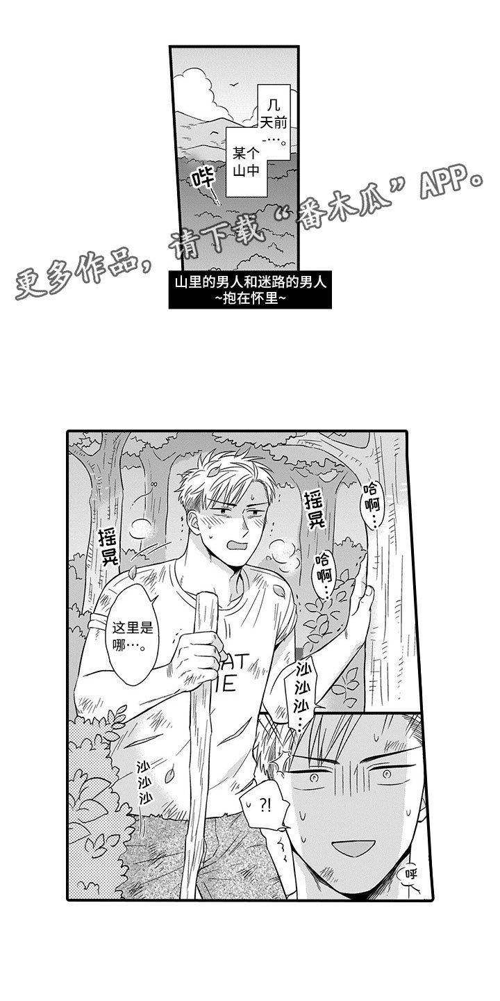 第13章：迷路
