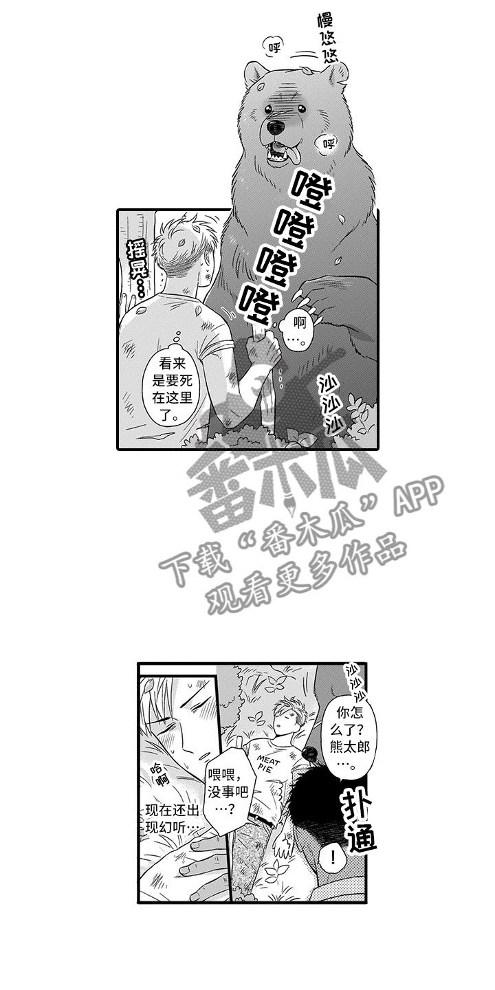 第13章：迷路