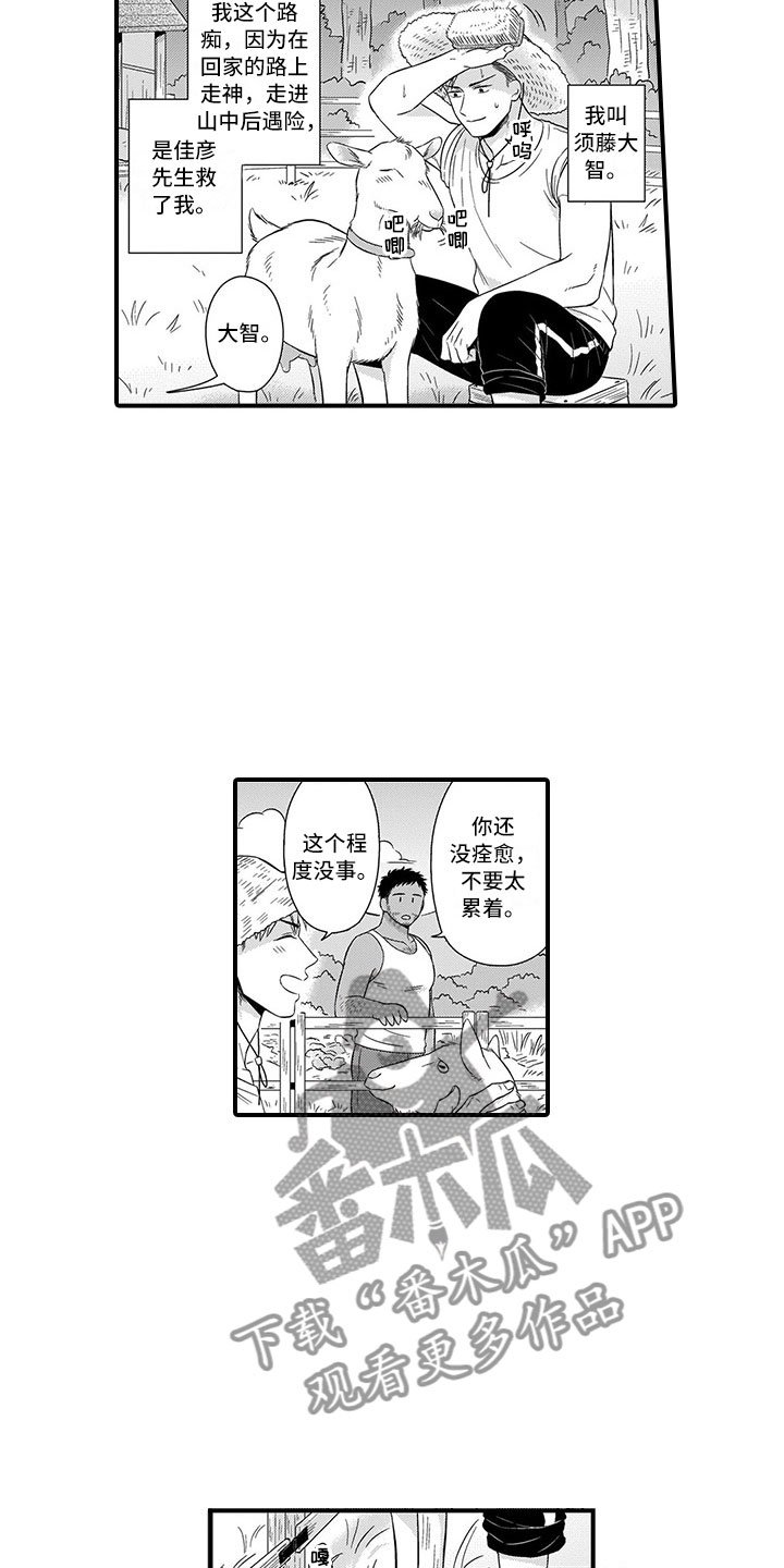 第13章：迷路