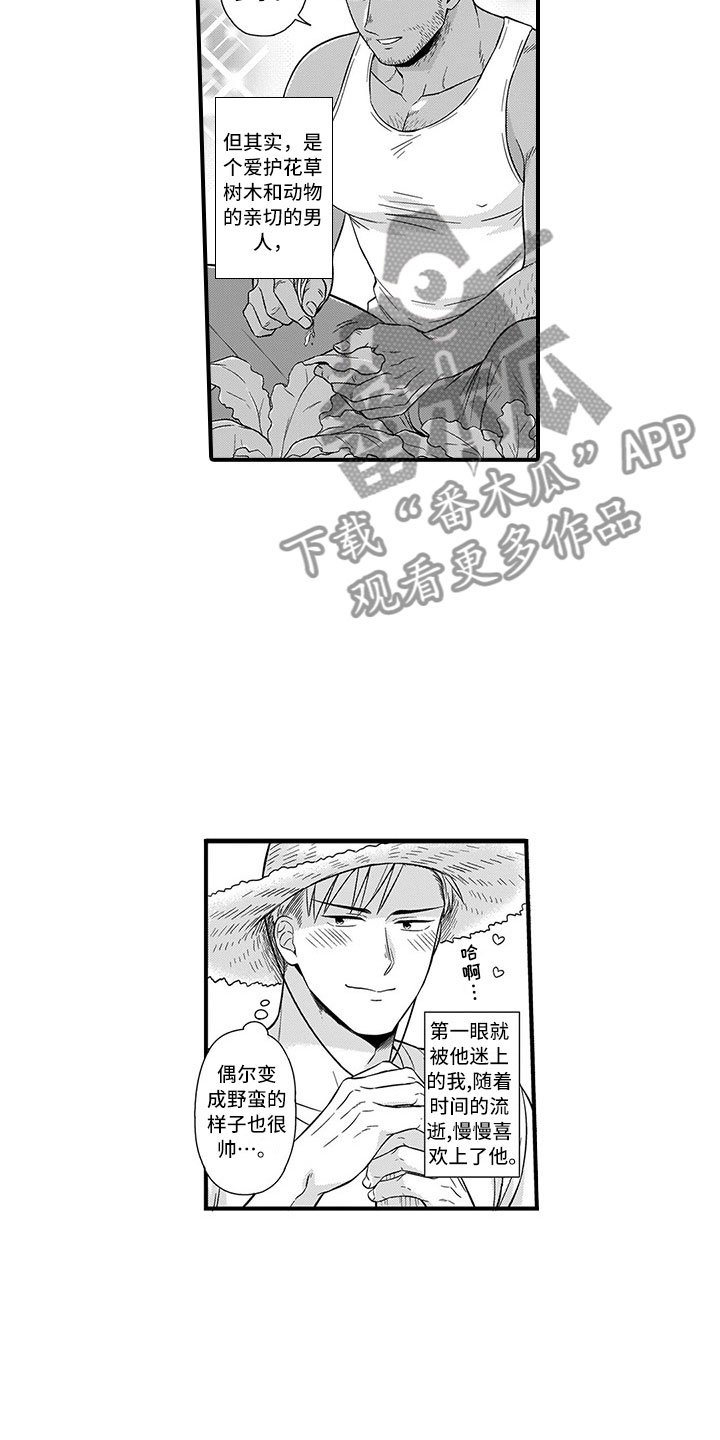 第13章：迷路