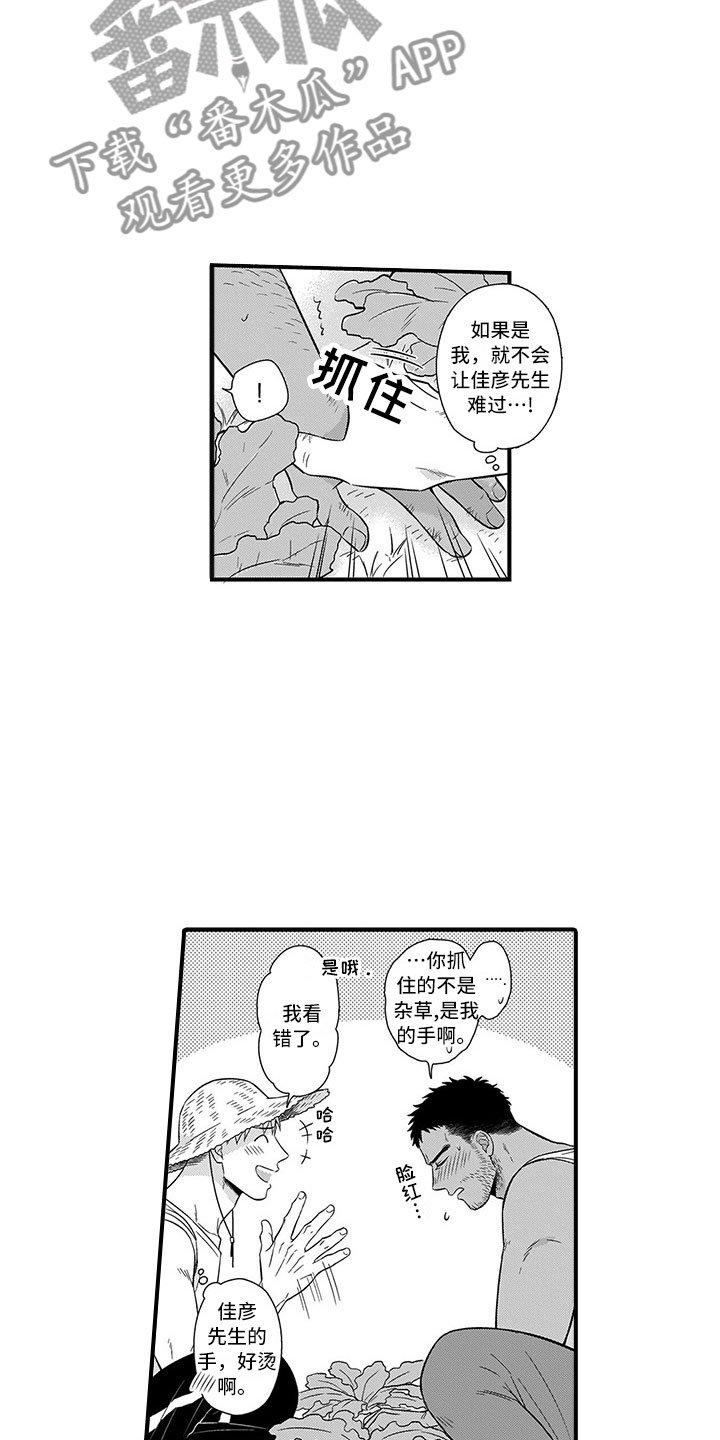 第13章：迷路