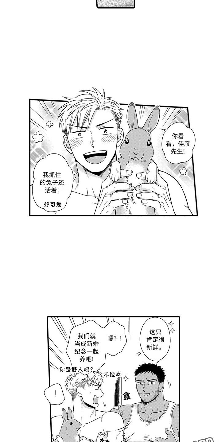 第14章：峰回路转