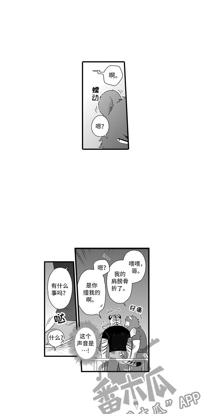 第15章：熊老师