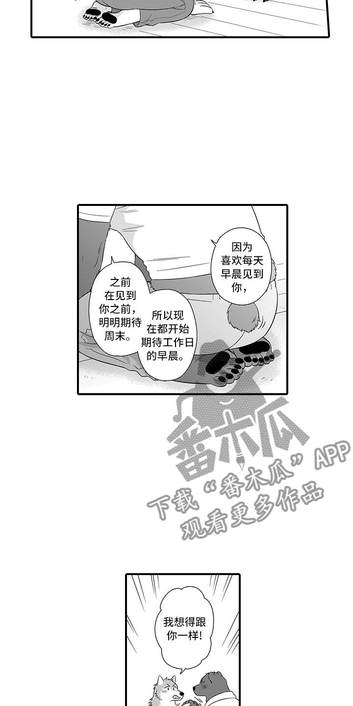 第17章：可爱