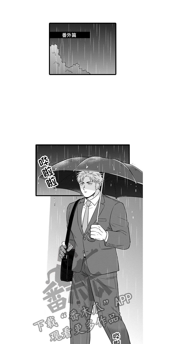 第21章：猫咪