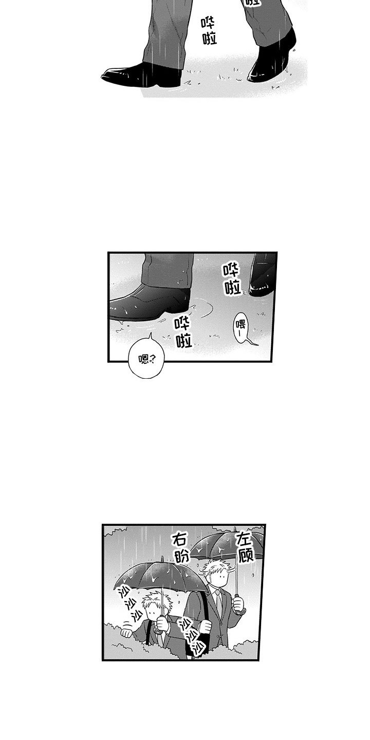 第21章：猫咪